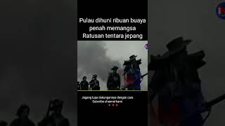 Rawa mengerikan di pulau ramree Myanmar di huni ribuan buaya misteri [upl. by Akehsar]