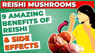 9 Health Benefits of Reishi Mushroom amp Side Effects [upl. by Eel]