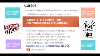 Cursos online GRATUITOS da enap Escola Nacional de Administração Pública escola virtual [upl. by Bunker756]