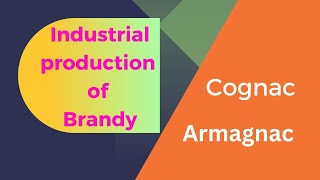 Industrial production of BrandyDistilled Alcoholic beveragesCognac productionArmagnac production [upl. by Alyl]