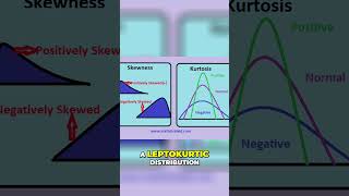 Kurtosis and Skewness  13 [upl. by Nojid]