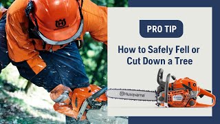 How to Safely Fell or Cut Down a Tree Using a Chainsaw  Husqvarna [upl. by Assiren]