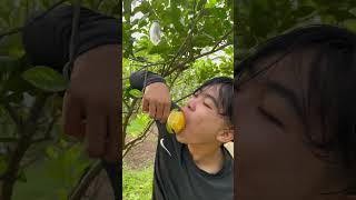 Survival skillscooking 🍊🤤🌶️🤣🙏Field Hunter🙏♥️ food asmr cooking survivalskills shorts 🥰 [upl. by Melisandra]