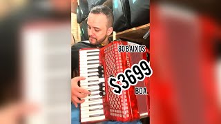 live Acordeon Maestrina 80 Baixos  Vendido [upl. by Fabio]