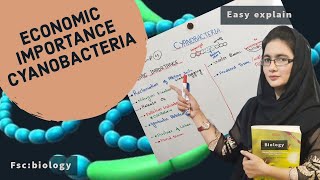 ECONOMIC IMPORTANCE OF CYANOBACTERIA class 11 fscpart1urdu hindi [upl. by Blynn]