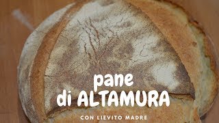 Pane di Altamura DOP fatto in casa [upl. by Ardnazil]