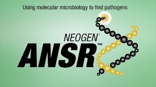 Neogen ANSR Pathogen Detection [upl. by Alien]