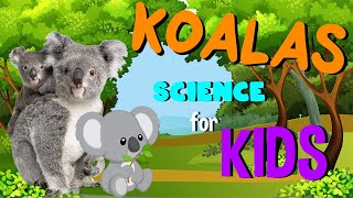 Koalas  Science for Kids [upl. by Kaslik]