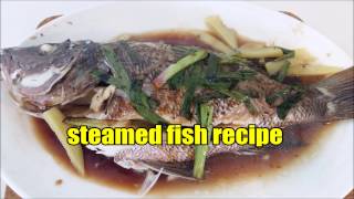 STEAMED FISH RECIPE [upl. by Hewe240]