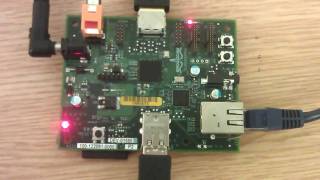 Raspberry Pi video capabilities [upl. by Emse875]