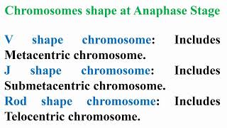 Meaning of Chromosomes Sizes and Shapes [upl. by Eserehc]