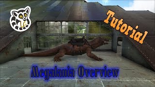 Ark Survival Evolved  Megalania Overview [upl. by Botzow500]