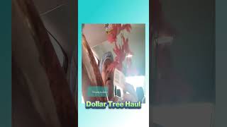 Must See Dollar Tree Car Haul [upl. by Mcnully]