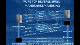 Coding Pure TCP Reverse Shell And TCP Handshake Handling Through Python [upl. by Lothar]