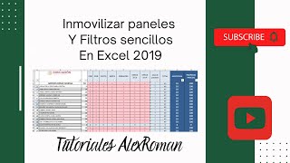 Inmovilizar Paneles y Filtros Sencillos En Excel 2019 [upl. by Enale]