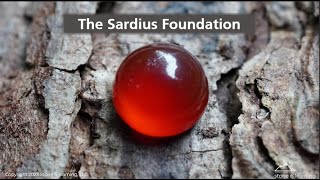 The Sardius Foundation [upl. by Quartus941]