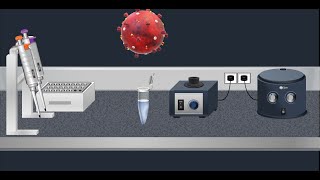 Coronavirus Test Real time RTPCR  Animation video [upl. by Particia93]