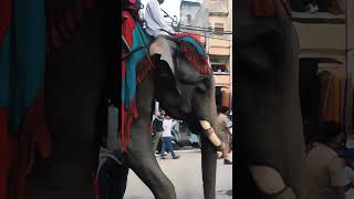 RAMNAGAR KI RAMLEELA CARTOON banaras vlog god [upl. by Mulloy790]