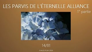 LES PARVIS DE LETERNELLE ALLIANCE 1° Partie 1481 [upl. by Stoddart825]