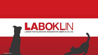 LABOKLIN Mein Labor [upl. by Osicnarf]