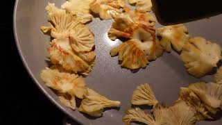 Picking and Eating Golden Oyster Mushrooms [upl. by Azenav]