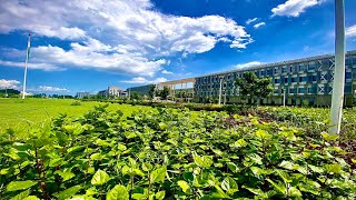 IIT ROPAR  IIT ROPAR CAMPUS TOUR [upl. by Eidnahs958]