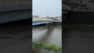 柏尾川（戸塚駅）8月30日 Shorts 戸塚 [upl. by Minabe]