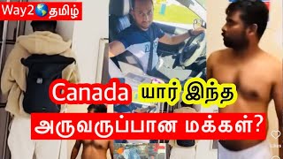 இவங்க அட்டகாசம் தாங்க முடியல…CANADA 🇨🇦🇨🇦🇨🇦 [upl. by Ariajay]