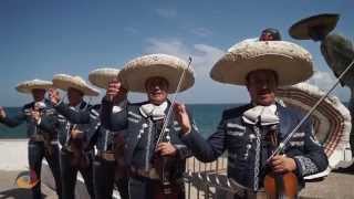 Mariachi Nuevo Continental Puerto Vallarta  Riviera Nayarit [upl. by Lunette995]