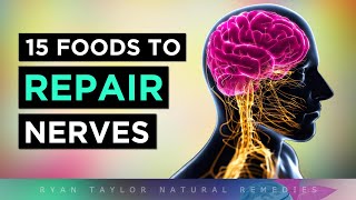 Top 15 Foods To REPAIR Your NERVES Neuropathy [upl. by Jezabel]