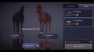 Black Desert Mobile  Updates Town Hall T7  Horse T6  Spend Your Money More [upl. by Arrol]