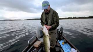 Angeln in Irland  Fliegenfischen auf Hecht in Mayo [upl. by Thanh]