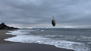 Manresa State Beach Surf Fishing with Sand Crabs  Beautiful day But… [upl. by Prosperus]