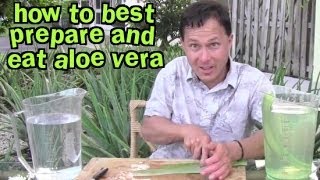 How to Best Prepare and Eat Aloe Vera amp Aloe FAQ [upl. by Qirat]