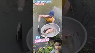 fishing fish fishtrap catfish indiantrapfishing bigfish bdfishinglife river [upl. by Lydon]