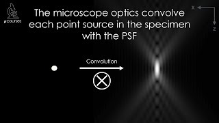 The Point Spread Function [upl. by Howlyn]