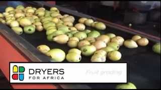 Dryers For Africa  Pulping Factory  Visual Tour [upl. by Dleifxam]