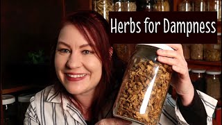 Herbs for Dampness What Chinese herbs can be used for damp problems [upl. by Swagerty309]