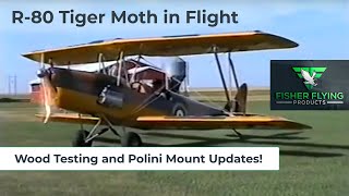 WOOD TESTING UPDATE and R80 TIGER MOTH IN FLIGHT  Fisher Newsletter 13 09 01 2020 [upl. by Alek]