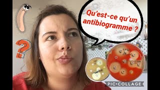 🦠 Questce quun antibiogramme  🧫 [upl. by Annaoj]