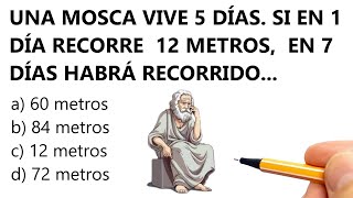 💡7 DESAFÍOS PARA ACTIVAR TU CEREBRO  Prof BRUNO COLMENARES [upl. by Bronwyn]