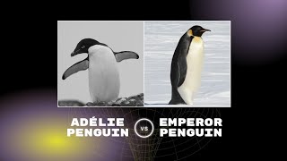 Adélie penguin vs Emperor penguin • Comparison of Facts [upl. by Loria]