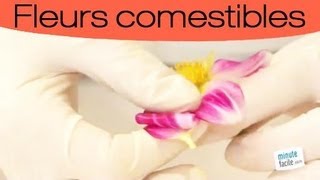 Astuces pour réaliser des pétales de fleurs cristallisés [upl. by Lalla209]