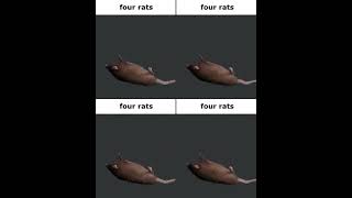 Four Rats 10 Hours [upl. by Wenonah]