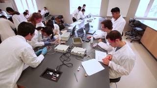 Schulich Medicine amp Dentistry  Bachelor of Medical Sciences Profile [upl. by Photima]