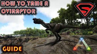 ARK HOW TO TAME A OVIRAPTOR 2019  EVERYTHING YOU NEED TO KNOW ABOUT TAMING A OVIRAPTOR [upl. by Ada956]