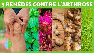 5 PLANTES CONTRE LARTHROSE 🌿✅ Remèdes naturels contre larthrose [upl. by Conant]