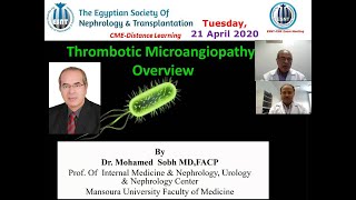 Thrombotic Microangiopathy Overview Prof Mohamed Sobh 21 April 2020 [upl. by Alyac692]