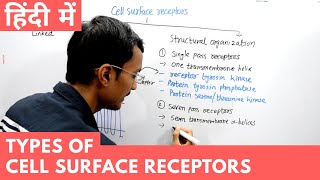 Types of Cell Surface Receptors in Hindi [upl. by Brownley684]