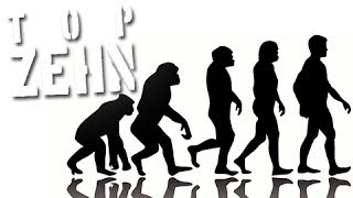 10 komische Fakten über die Evolution [upl. by Borras]